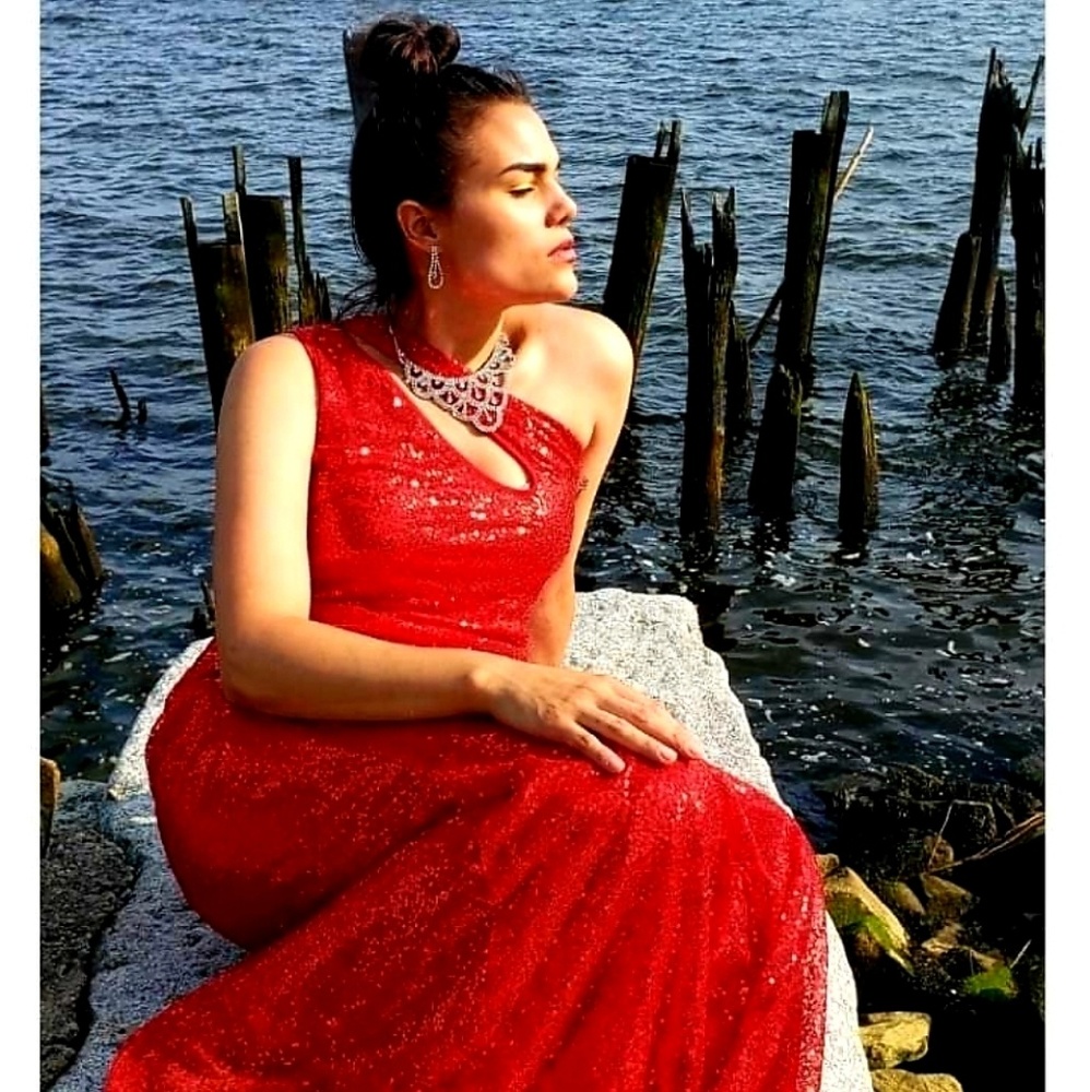 Nataljia's Elite Collection Red Sequin Dress